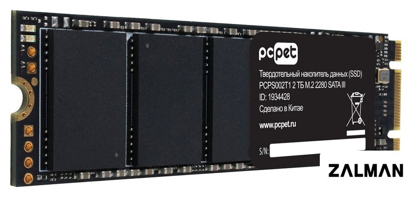 SSD PC Pet 2TB PCPS002T1