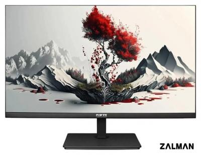 Монитор RDW Computers 2401K/F00В3100V2A1H