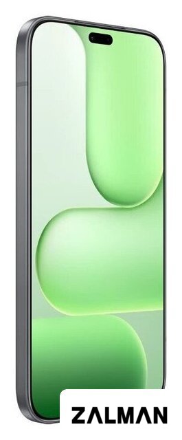 Телефон HONOR 600 Lite 8GB/256GB международная версия (вельветовый черный)