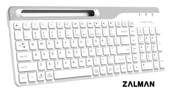 Клавиатура A4Tech Fstyler FBK25 (белый/серый)