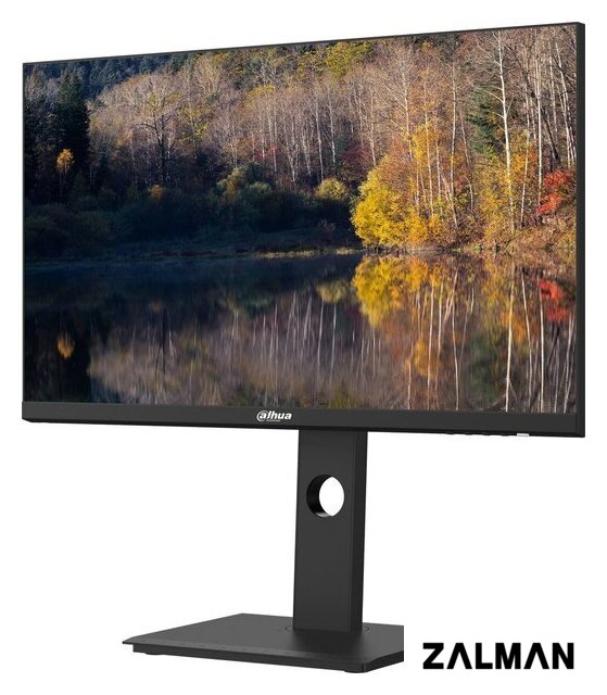 Монитор Dahua DHI-LM24-P301A