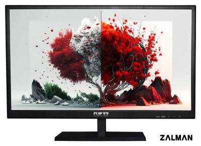 Монитор RDW Computers 2401K/F00В0100V2A1H