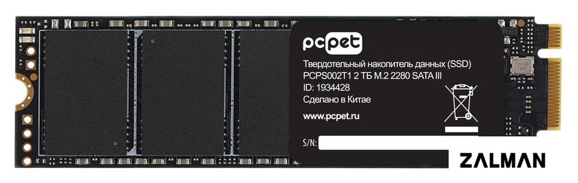 SSD PC Pet 2TB PCPS002T1