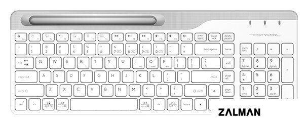 Клавиатура A4Tech Fstyler FBK25 (белый/серый)