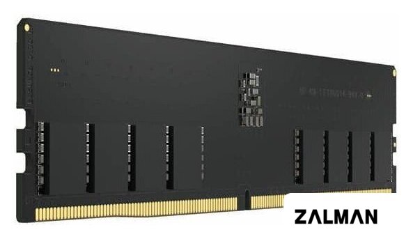 Оперативная память Acer UD200 16ГБ DDR5 4800 МГц BL.9BWWA.420