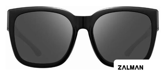 Солнцезащитные очки Xiaomi Mijia Polarized Sunglasses MSG05GL (черный)