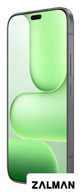 Телефон HONOR 600 Lite 8GB/256GB международная версия (вельветовый черный)