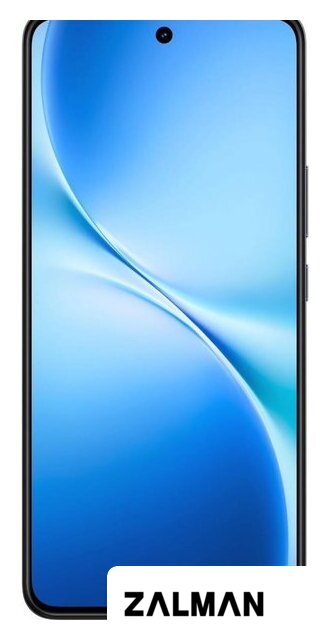 Телефон Vivo V60 Lite 5G V2529 12GB/256GB международная версия (элегантный черный)
