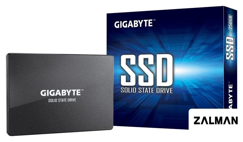 SSD Gigabyte 256GB GP-GSTFS31256GTND