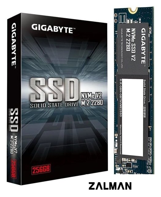 SSD Gigabyte NVMe SSD V2 256GB G3NVMEV2256G
