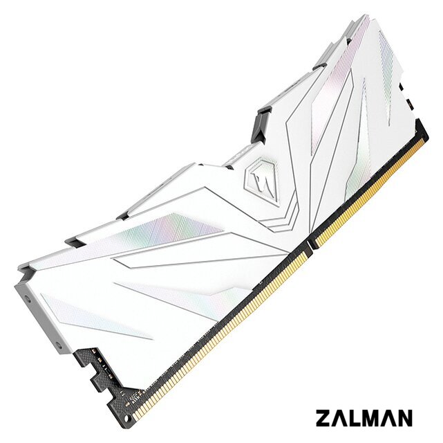 Оперативная память Netac Shadow II White 16ГБ DDR4 3200МГц NTSWD4P32SP-16W