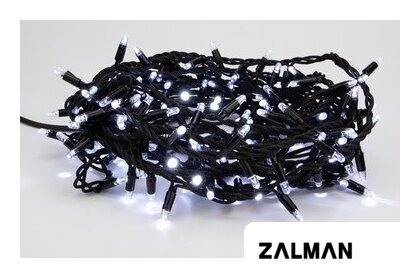 Светодиодная гирлянда ULED ULED-SL-100-220V-(B-F-W/W)