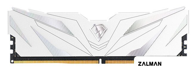 Оперативная память Netac Shadow II White 16ГБ DDR5 4800 МГц NTSWD5P48SP-16W