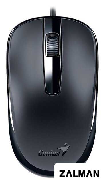 Мышь Genius DX-120 (черный)
