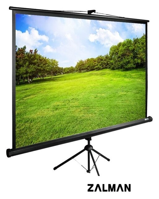 Проекционный экран CACTUS TriExpert 200x200 CS-PSTE-200х200-BK