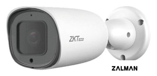 IP-камера ZKTeco ZK-LPR CarID BL-852Q38A-LP