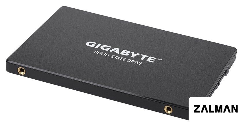SSD Gigabyte 256GB GP-GSTFS31256GTND
