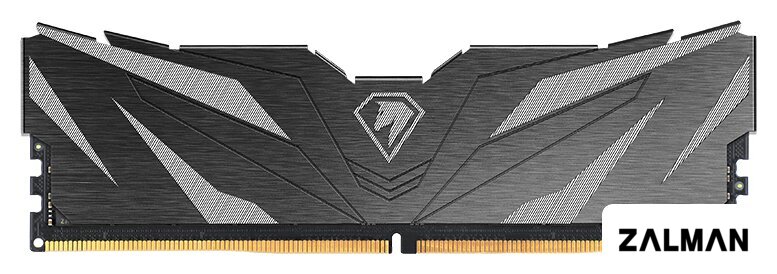Оперативная память Netac Shadow II 16ГБ DDR5 4800 МГц NTSWD5P48SP-16K