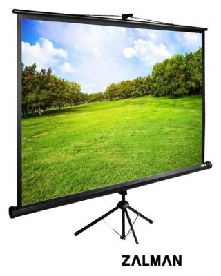 Проекционный экран CACTUS TriExpert 200x200 CS-PSTE-200х200-BK