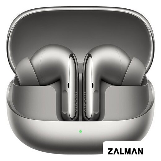 Наушники Xiaomi Buds 5 Pro M2437E1 (титановый, международная версия)